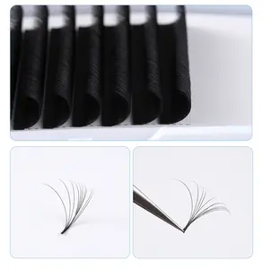 Extensions de cils camilla d curl 0.03 mega 0.05 0.07 0.18mm 0.20 20 22 25 mm 0.15 0.25 c & d extensions de cils ellipse