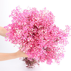 Bouquet séché Ciel étoilé 2026, fleur éternelle, base droite, cheveux naturels, matière florale véritable, décoration pour la Saint-Valentin et les mariages - Product Image 4