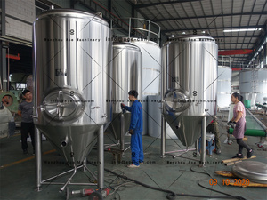 Ace Beer Fermentation Tonsen Tank PU Insulated Stainless Steel Brewery Equipment Beer Fermenter - Product Image 2