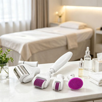Système de dermaroller DRS 6 en 1 approuvé par les esthéticiennes, accessoires détachables polyvalents, structure hygiénique réutilisable, qualité professionnelle.