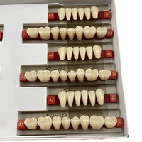 Dents dentaires artificielles ombre A2 taille 503 dents dentaires en résine acrylique