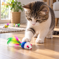 Kinghon Cage interactive colorée en plastique écologique, moderne et simple, avec jouet manuel pour chat et souris jouet, Fournitures et accessoires pour animaux de compagnie