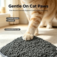 Litière pour chat à texture sèche en bentonite de carbone, faible humidité, désodorisation au charbon actif, granulés uniformes, sable de nettoyage pour animaux de compagnie
