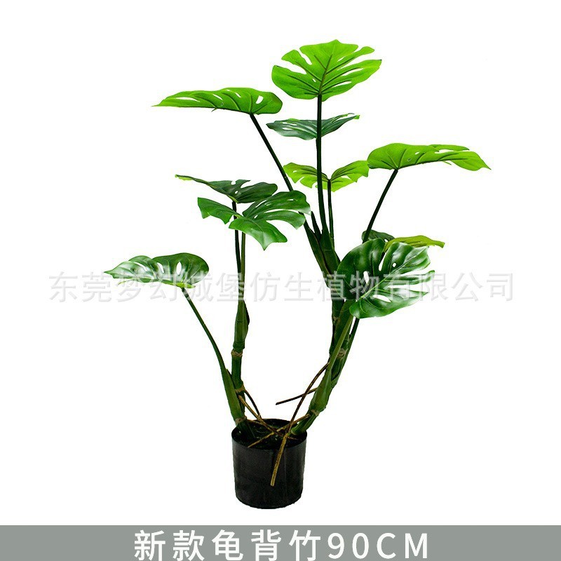 Monstera deliciosa de forêt tropicale 90 cm (livré avec base noire)