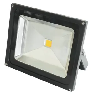 50W LED Ip66 100w Floodlight For Bowfishing And Boat Lighting High