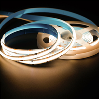 Tira de Luz LED COB de Silicona Flexible de Alto Brillo de 3MM 4MM 5MM 8MM, 5V de Bajo Voltaje, Personalizable, 24V, Color RGB