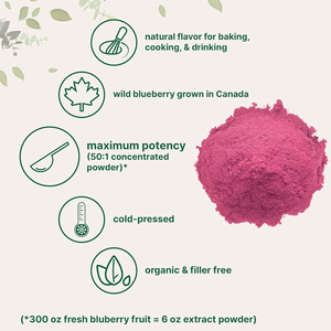 Không có đường & phụ gia bột đông khô hỗ trợ tùy biến tư nhân hữu cơ Blueberry chiết xuất bột - Product Image 2