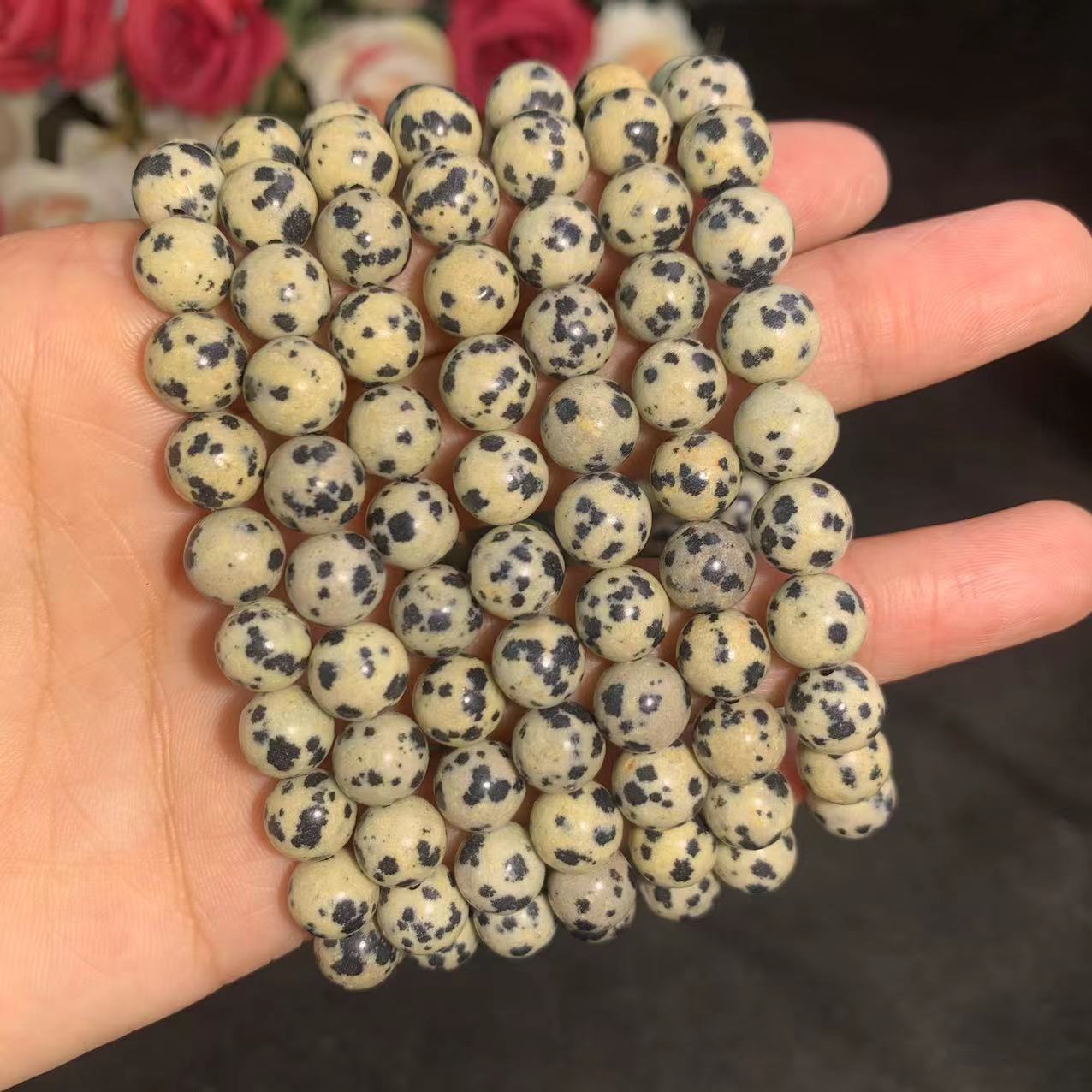 dalmatien