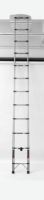 Échelle télescopique en acier inoxydable, prix direct usine, hauteur réglable, antidérapante, échelle droite robuste, commande en gros, exportation