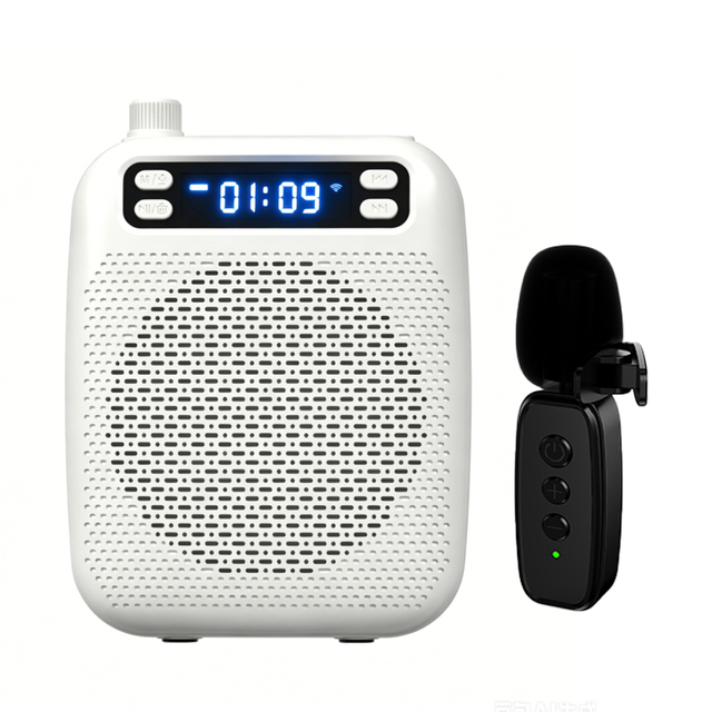 Portable UHF Wireless Voice Amplifier R-698 10W Aux Mic Compatible Plastic for Teacher Tour Guide Presentation