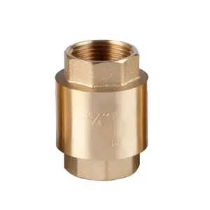 OEM 1/2 3/4 1 11/4 2 Inch NPT Brass Nước Dọc Mùa Xuân Nạp Bóng Nâng Kiểm Tra Van