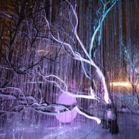 Arbre de Noël LED à Fibre Optique, Veilleuse Fantastique Décorative Intérieure et Extérieure, Effet Avatar avec Changement de Couleur