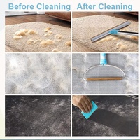 Ensemble de 3 grattoirs à poils d'animaux avec manche long réglable pour canapé, tapis et tapis de sol
