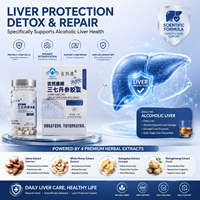 Capsules d'extrait de Panax Notoginseng et de Danshen sous Marque Blanche : Soutient la Santé Hépatique, la Fonction Détoxifiante et la Protection Antioxydante – Complément Alimentaire