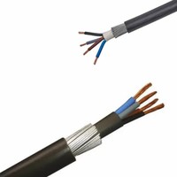 Cable Eléctrico de Alimentación VV-0.6/1kv 5X10 5*16mm2 VV22 VV32 de 2-4 Núcleos con Conductor de Cobre y Aislamiento de PVC