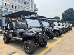 Nuevo Carro de Golf Eléctrico, Buggy 4x4 Todoterreno, 24 km/h, Batería de Litio, Motor de 5KW, Capacidad de Carga de 300 kg - Product Image 5