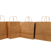Sac en papier kraft brun jetable de haute qualité avec poignée torsadée, recyclé, vente en gros d'usine, avec impression personnalisée du logo de l'entreprise
