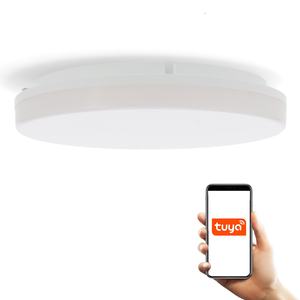 Plafoniera LED 24W IP54 WiFi, controllo tramite app, colore CCT; illuminazione efficiente per case e spazi interni. - Product Image 1