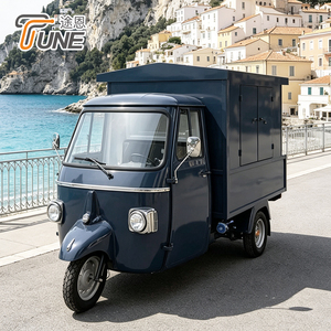 Food Truck Elettrico Commerciale Retrò Vintage a 3 Ruote per Gelati, Dolciumi, Hot Dog, Catering e Vendita Ambulante - Product Image 1