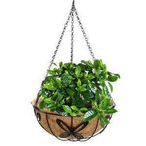 Jardinieres En plastique Grandes accessoires สำหรับ Plantes <span class=keywords><strong>Maison</strong></span> jardiniere Bois mexicaine POT <span class=keywords><strong>de</strong></span> Fleurs - Product Image 4