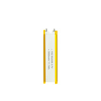 YXE personnalisable 3.7V/3000mAh pochette semi-solide Batteries au lithium-ion Certification UN38.3 pour moustique intérieur/extérieur
