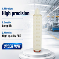 Cartouche filtrante OEM à membrane PES de 0,22 µm, longueur 10-40 pouces, pour usage analytique en laboratoire