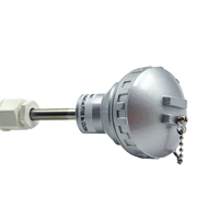 Sonde de température industrielle à filetage fixe Pt100 RTD, sonde gainée WZPK, filetage M20 M27 G1/2 G3/4, IP66, OEM ODM
