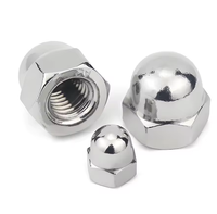 Écrous hexagonaux robustes avec capuchon de protection en forme de dôme pour filetage de boulons, acier inoxydable 304, kit de fixation décoratif