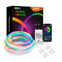 Luxuriöses IP67 PVC LED Neon Flex RGB Musik-Synchronisations-Lichtband mit Regenbogeneffekt, 220V, 50m Rolle für Landschafts- und Architekturbeleuchtung im Außenbereich