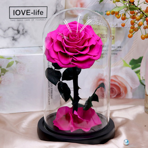 INUNION, de larga duración, preservadas para siempre, rosas eternas reales en cúpula de cristal con luz LED para regalo y <span class=keywords><strong>Festival</strong></span> - Product Image 3