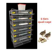 Cage à cailles de type H à alimentation et abreuvement automatiques pour l'élevage de volailles en ferme avicole avec acier galvanisé durable