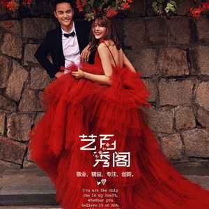 Art Show Wedding Dress Ball Gown V-neck Tulle Natural Waistline For Street Photography Outdoor Travel Couple Shoot - Product Image 3
