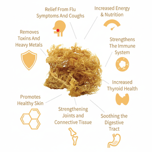 มอสทะเลป่าจากการทำแห้งและเก็บเกี่ยวด้วยการดูแลคุณภาพระดับพรีเมียม - Product Image 1