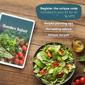 Coffret cadeau de légumes biologiques anciens comprenant des tomates cerises, de la laitue romaine, des pois sucrés, à suspendre, pour la maison ou le jardin - Product Image 6