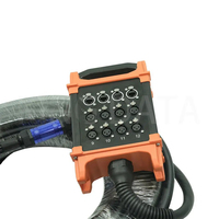 Professionnel Double Micro RCA Audio Serpent Câble 100m Coaxial Stage Box Audio Raghit RJ45 Connecteur Réseau Extérieur