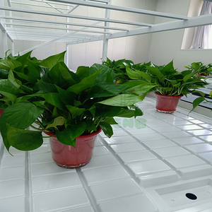 Usine Abs Plateau D'inondation Ebb And Flow Grow Table Serre Plantation D'inondation <span class=keywords><strong>Et</strong></span> De Vidange Table Roulante Système De Banc - Product Image 3