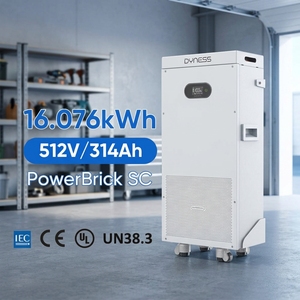 Batterie Dyness PowerBrick SC 16 kWh 51,2 V 314 Ah LiFePO4 pour stockage d'énergie domestique 8 kW 2 heures 8000 cycles Batteries au lithium - Product Image 1
