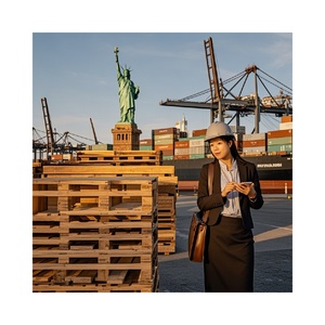 Aeroporto a aeroporto servizio di trasporto dalla cina al tacchino con le merci della batteria - Product Image 1