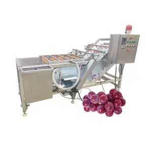 500 kg/std automatische Luftblasen-Reinigungs-Frucht-Wasch-und Sortiermaschine Zitronen-Sortierer-Zitronen-Wasch-Wachs-Maschine