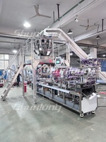 Emballageuse sous blister haute vitesse SL-480G avec balance multi-têtes |   Pour les applications de comptage et de pesage dans l'industrie alimentaire et des produits divers