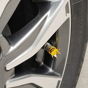 Capuchons de valve de pneu ABS Crown 8V1 Capuchon de tige de valve anti-poussière universel <span class=keywords><strong>Auto</strong></span>/Vélo/Moto 4 pièces 10 couleurs Capuchons de valve de pneu d'air de voiture - Product Image 5