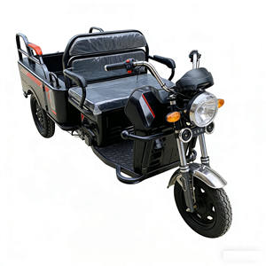 Triciclo Eléctrico de Pasajeros Abierto de 48V y 60KM con Marco de Acero para Viajes Cortos, Triciclo Eléctrico Pequeño de 3 Ruedas para Adultos, 2 Personas y Carga - Product Image 6