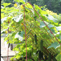 Plante de jardin A-Frame Treillis métalliques soudés panneaux soudés en fer galvanisé