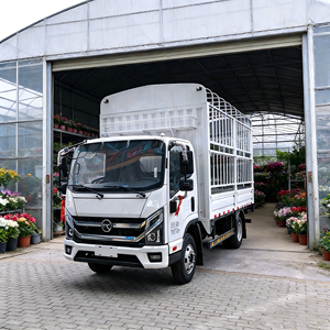 Nouveau camion de fret léger de 5 tonnes, 4x2, cabine simple et demi, conduite à gauche, sièges en une seule rangée, caméra arrière, moteur diesel, Chine - Product Image 1