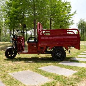 Scooter électrique de transport ouvert motorisé 3 roues camion à <span class=keywords><strong>benne</strong></span> basculante tricycle 1000w batterie - Product Image 3