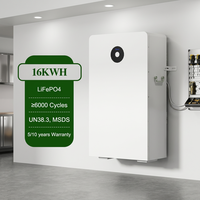 Batterie solaire domestique Deye RW-F16 16 kWh LiFePO4 51,2 V 314 Ah, montage mural ou au sol, stockage d'énergie résidentiel ESS
