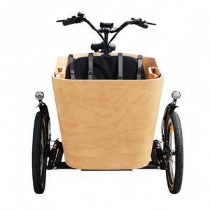 Bicicleta <span class=keywords><strong>de</strong></span> Carga Familiar Holandesa <span class=keywords><strong>de</strong></span> 3 Ruedas, Bakfiet, Triciclo Eléctrico <span class=keywords><strong>de</strong></span> Grado Comercial para Servicios <span class=keywords><strong>de</strong></span> Entrega y Desplazamientos Urbanos - Product Image 1