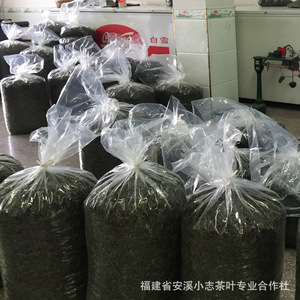 Té Oolong Anxi Tieguanyin Zhengwei 2026 <span class=keywords><strong>de</strong></span> Primavera, Orgánico, Aromático, Adelgazante, en Bolsas a Granel, Venta al por Mayor, Nuevo, Transfronterizo - Product Image 3