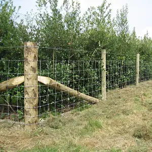 Atlar ve sığırlar için galvanizli arazi çiti 2.5mm-3.0mm alan çitleri