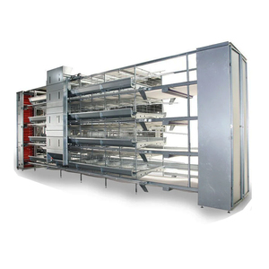 Nuovo Sistema Automatico di Gabbie per Galline Ovaiole <span class=keywords><strong>2026</strong></span> per Allevamenti di Polli in Tanzania - Product Image 4